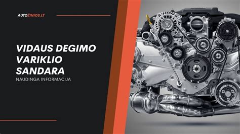 Infografika: palyginimas vidaus degimo variklio ir elektromobilio komponentų