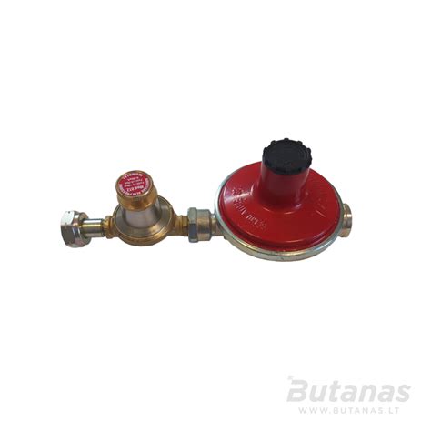 Nuotrauka, vaizduojanti tipinį dujų reduktorių