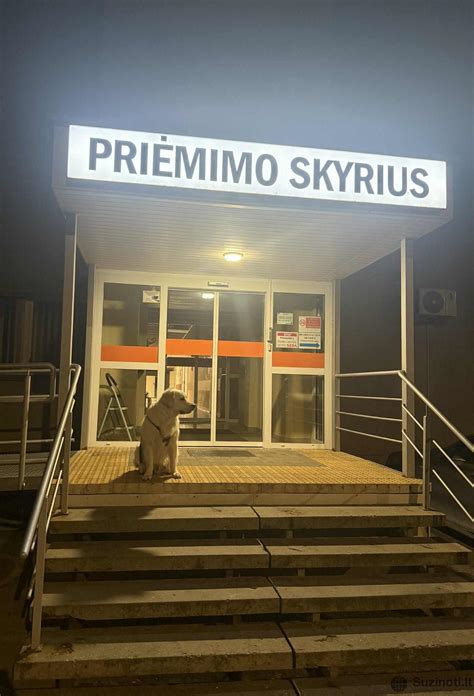 Teminė nuotrauka: N. Liutkus iš Admita