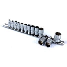 Teminė nuotrauka: įvairių dydžių galvučių ir terkšlių rinkinys