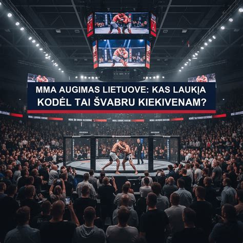 infografika apie MMA augimą Lietuvoje ir jos įtaką grynajam atlyginimui