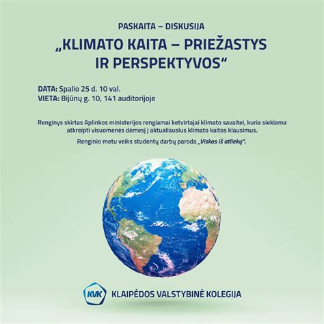 vizualizacija apie vairuotojų trūkumo priežastis ir pasekmes Lietuvoje