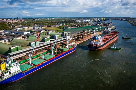 Iliustracija: skirtingų tipų krovininių laivų (konteinerinio, tanklaivio, birių krovinių)