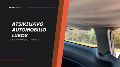 infografika: priežastys, kodėl reikia valyti automobilio lubas