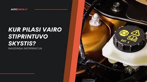 Schematinis vairo stiprintuvo sistemos pavaizdavimas su siurbliu, bakeliu ir mechanizmu