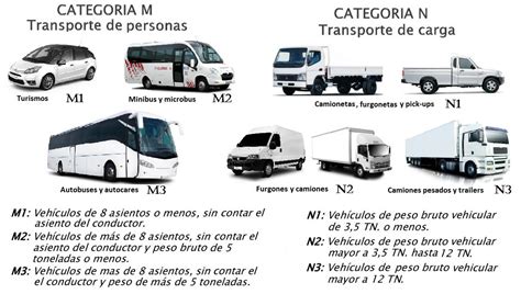 Infografika: M1 ir N1 kategorijų skirtumai ir PVM lengvatos komerciniam transportui