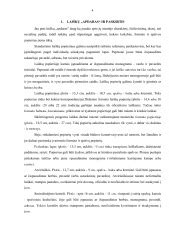 Pavyzdys: neformalaus laiško struktūra su įžanga, pagrindine dalimi ir pabaiga
