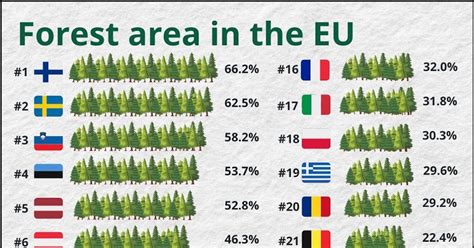 Infografika su populiariausių automobilių importo šalių procentais ir Prancūzijos vieta