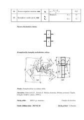 Cilindrinės tiesiakrumplės pavaros pjūvis su pažymėtais geometriniais parametrais (modulis, tarpašinis atstumas, krumplių skaičius)