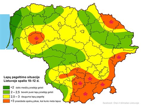 Schema, iliustruojanti skirtingas duomenų laikmenas, iš kurių galima atkurti informaciją (HDD, SSD, USB, atminties kortelės, RAID).