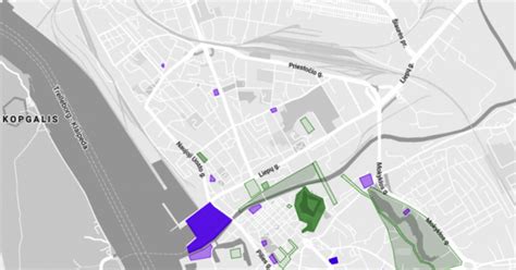 Infografika: Klaipėdos miesto automobilių stovėjimo vietų plėtros planai ir „Eco“ dangos privalumai