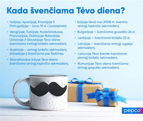 Infografika apie apmokėjimo būdus elektroninėje parduotuvėje