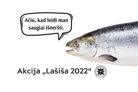 Nuotrauka su lašišos ar šlakio sugavimu ir matavimu