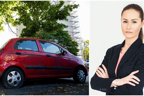 Apleisti automobiliai kiemuose, laukiantys demontavimo