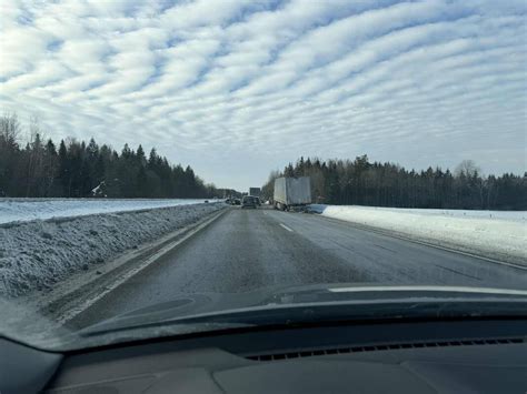 Teminė nuotrauka su vilkiku kelyje