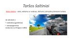 Infografika: Automobilių taršos įtaka aplinkai ir potencialūs taršos mažinimo būdai