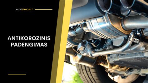 Infografika: automobilio antikorozinio padengimo sluoksniai ir procesas