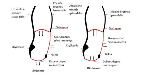 Pažeisto išmetimo kolektoriaus nuotrauka su įtrūkimais arba deformacija