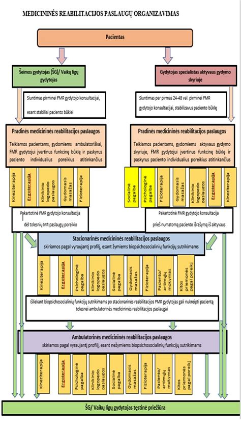 Sisteminė schema: naujas apeliacijų teikimo procesas