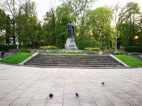 pilkojo kiškio nuotrauka natūralioje aplinkoje