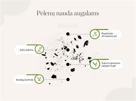 infografika: probiotikų nauda augalams ir dirvožemiui