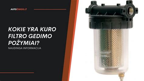 Teminė kuro filtro schema arba nuotrauka