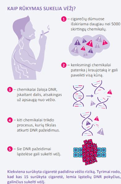 Infografika: baudos už rūkymą skirtingose vietose ir už pakartotinus pažeidimus