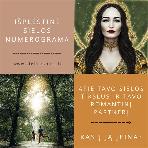 „AMPShare“ aljanso logotipų ir suderinamumo iliustracija