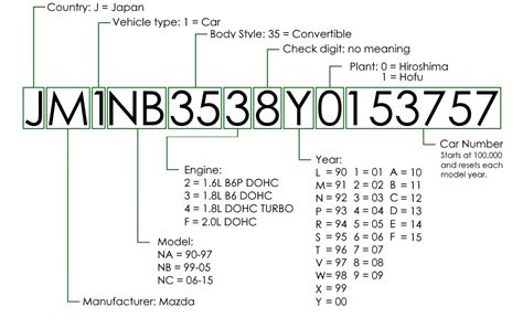 VIN numerio pavyzdys ant automobilio kėbulo
