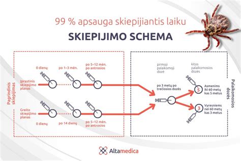 Chronologinė schema: nuo astronautų kėdutės prototipo 1964 m. iki modernių ISOFIX sistemų