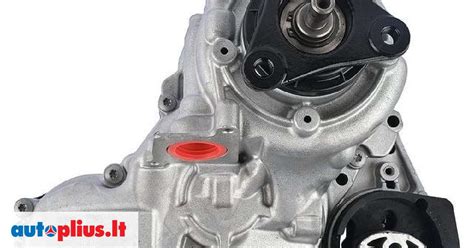 BMW E46 galinio reduktoriaus pjūvio schema