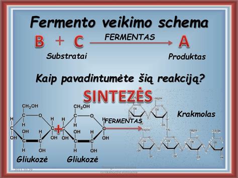 Schema, iliustruojanti katalizatoriaus veikimo principą ir chemines reakcijas