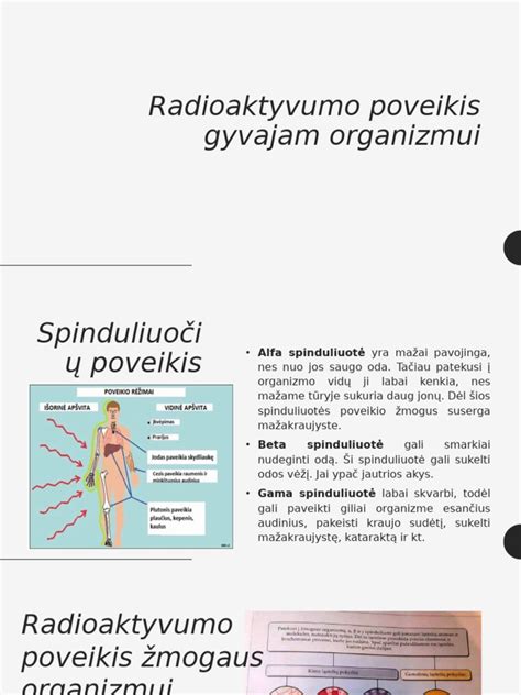 Infografika: promilių poveikis organizmui ir vairavimui