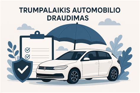 infografika: kaip veikia franšizės draudimas (kliento mokėtina suma)