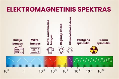 Infografika: Ridma paslaugų spektras Marijampolėje
