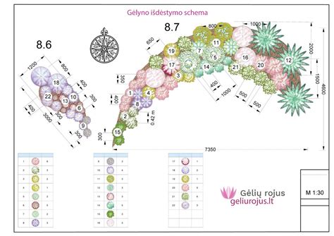 Infografika: gėlių gamybos šaltuoju būdu schema, žiedlapių formavimas