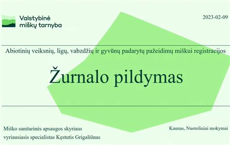 infografika, rodanti karterio pažeidimų rizikas ir tikrinimo taškus