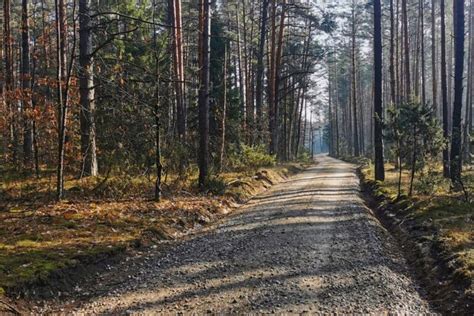 Vaizdingas Lietuvos miško kelias, tinkamas tiek automobiliams, tiek keturračiams