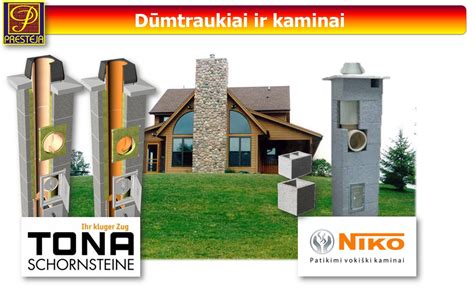 infografika: skirtingų vinių tipų (karkasinių, apdailos, stogo) palyginimas ir jų naudojimo sritys