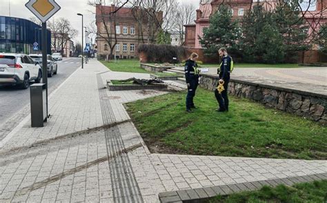 pareigūnė Giedrė Jonauskienė sustojusi prie eismo įvykio vietos