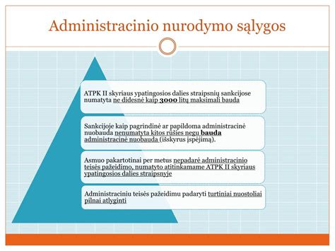 Administracinio nurodymo vykdymo schemos infografika