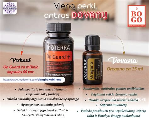 Nuotrauka, vaizduojanti skirtingas sėklas ir riešutus, iš kurių galima spausti aliejų, bei jų išspaudas