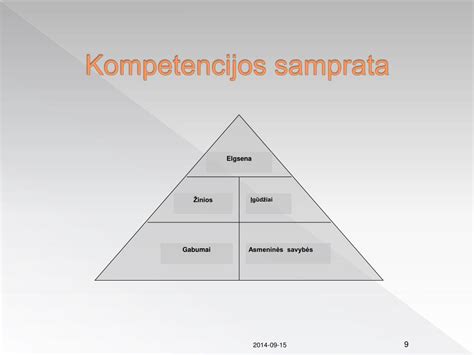 schema: 95 kodo vieta vairuotojo pažymėjime ir jo reikšmė (profesinė kompetencija)