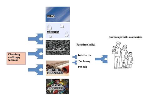 Infografikas: pagrindiniai cheminių medžiagų patekimo į organizmą keliai (įkvėpus, per odą, prarijus) ir jų poveikis sveikatai.