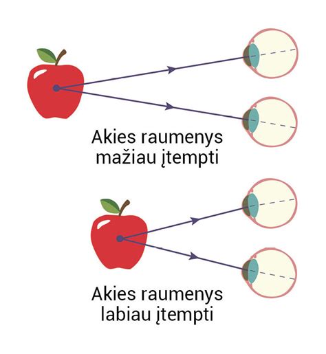 Iliustracija, rodanti kūgelių pasiskirstymą tinklainėje ir jų jautrumą skirtingoms spalvoms.