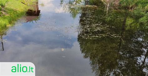 Didelė dramblių kaimenė prie vandens telkinio Čiobės nacionaliniame parke