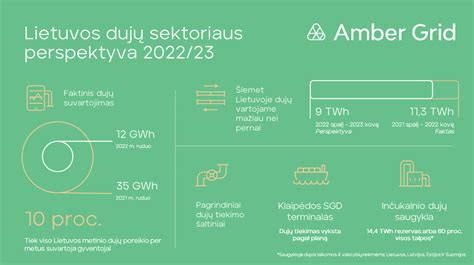 Infografika: Pagrindiniai dujų įvedimo etapai nuo paraiškos pateikimo iki dujų paleidimo.