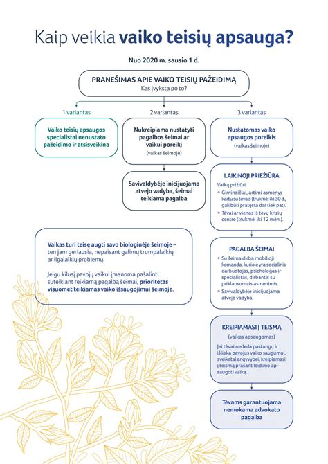 schema, paaiškinanti prioritetą tarp vaiko poreikių ir tėvų turtinės padėties vertinimo