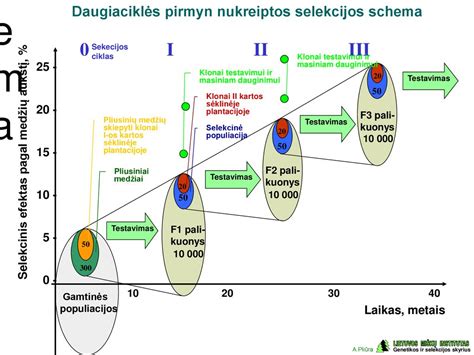 Schema: motociklų kategorijų palyginimas pagal galingumą ir stažo reikalavimus