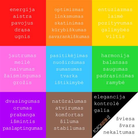 Gėlių spalvų paslaptis infografika: spalvos, reikšmės ir pavyzdžiai